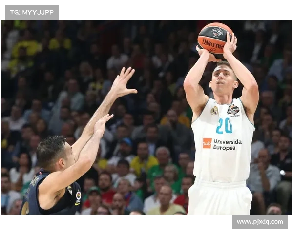 欧洲篮球联赛外卡制度是否加剧豪门垄断及对其他球队的影响分析